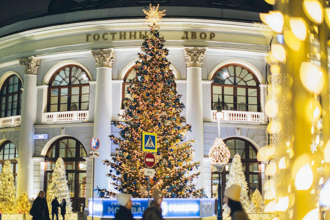 Low angle of decorated Christmas tree with blue and golden toys and glowing lamps on street against exterior of old building in evening city