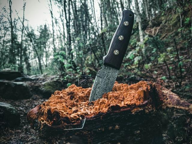 How To Choose The Right Knife For Camping - Jojomerch