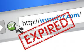 Why Buy an Expired Domain Name?