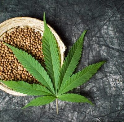 Tips and tricks of finding the best sativa seeds