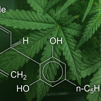 CBD: What We Know And What We Don’t