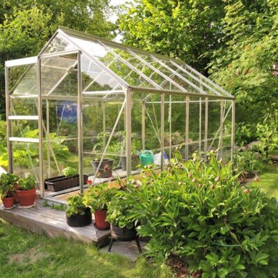 What to Know Before Building a Backyard Greenhouse