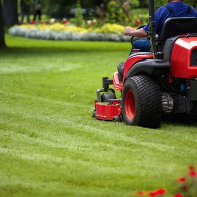 Lawn Maintenance: Different Grass Mowing Lengths